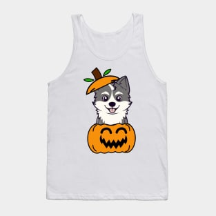 Cute Husky Dog is in a pumpkin Tank Top